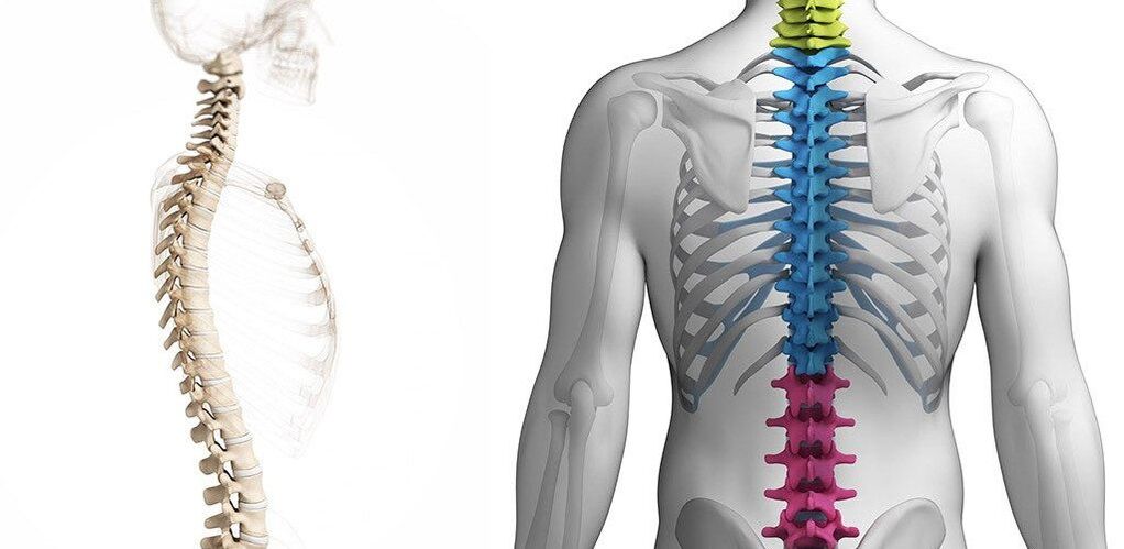 leziune a coloanei toracice cu osteocondroză